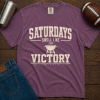 Saturdays Smell Like Victory T-Shirt
