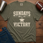 Sundays Smell Like Victory T-Shirt
